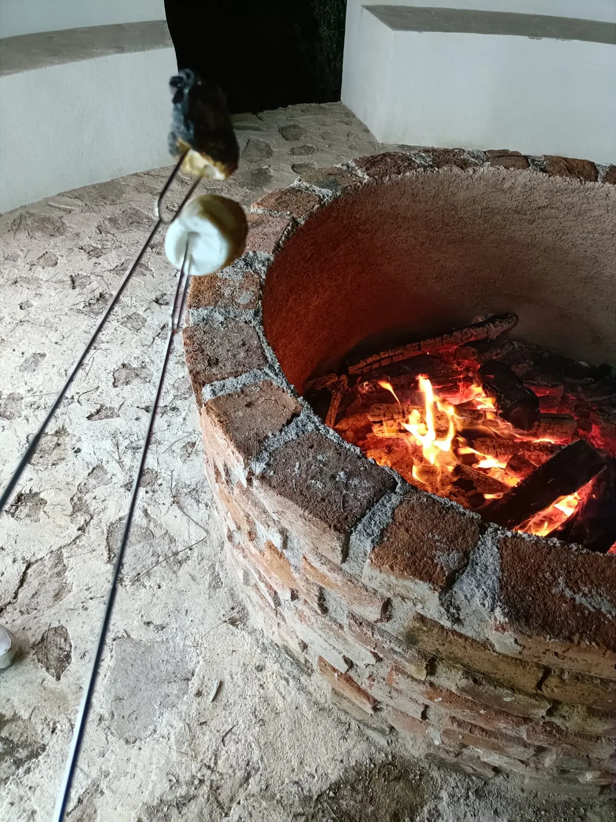 Malvaviscos asados en el fogatero de Acatotli